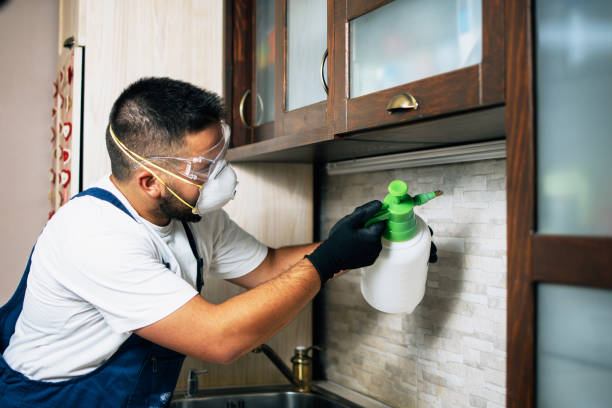 Best Insect Control  in Oak Leaf, TX
