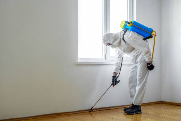 Best Pest Removal Services  in Oak Leaf, TX