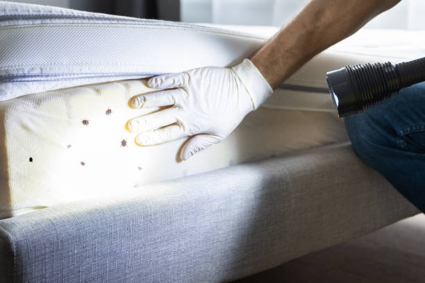Best Exterminator Services  in Oak Leaf, TX
