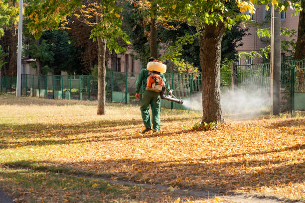 Pest Control for Restaurants in Oak Leaf, TX