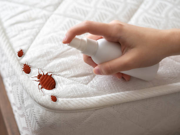 Reliable Oak Leaf, TX Pest Control Solutions